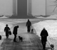 snowwalk