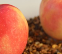 applesauceblog