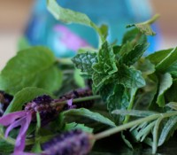 mintlavteablog