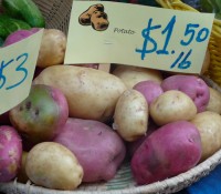 When in Idaho, eat potatoes!