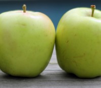 appleloveblog6