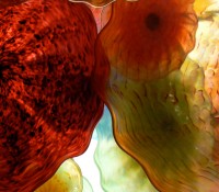 Chihuly Glass, Bellagio Hotel, Las Vegas, 2005