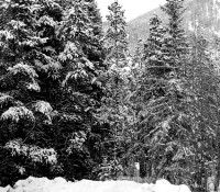 holidayblog2