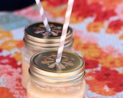 {Sub} Tropical Smoothie//The Spicy RD