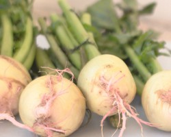 watermelon radishes