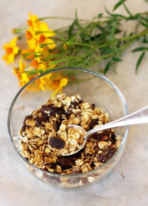 Decadent {but healthy} Dark Chocolate Muesli Hot Chocolate in a Bowl!