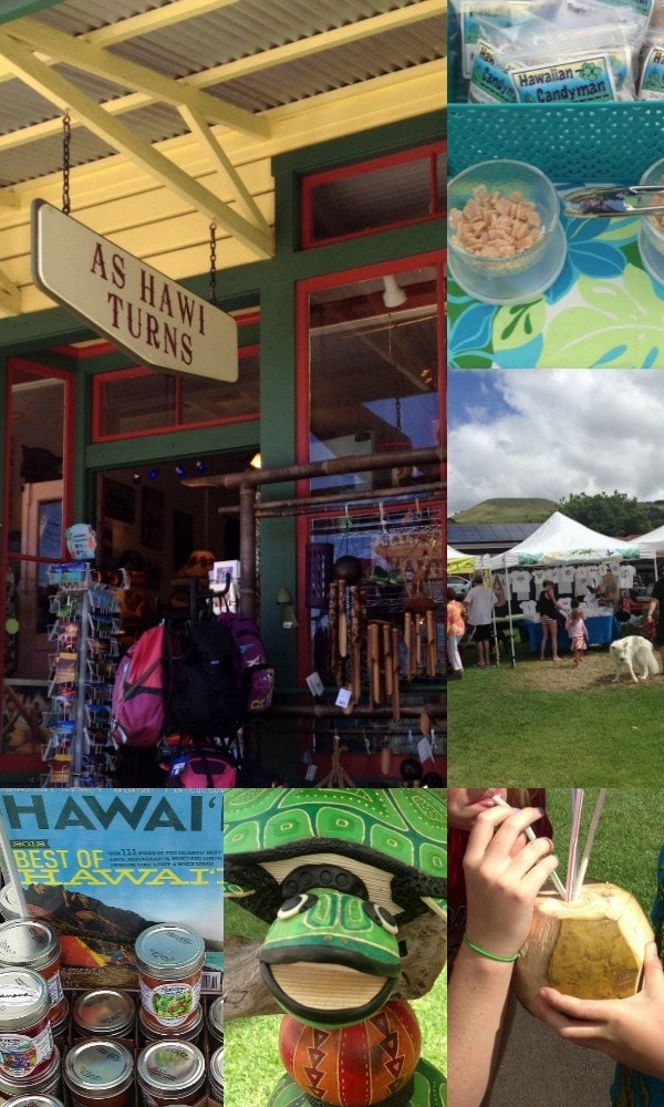 Shopping on The Big Island of Hawaii // The Spicy RD