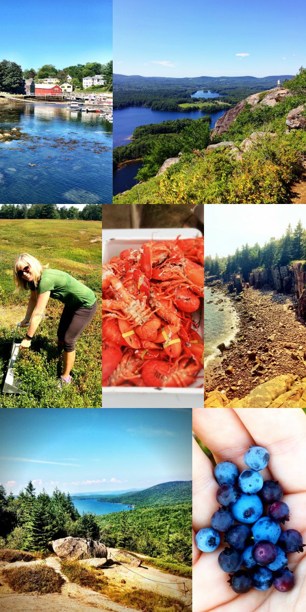 30 Ways to Boost Your Health with Wild Blueberries