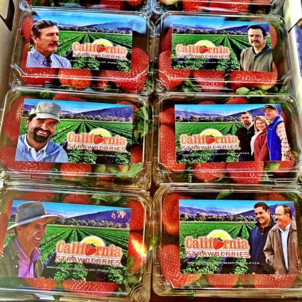 Fresh from the field California strawberries! Learn how California strawberries are grown at The Spicy RD | Sponsored by California Strawberries