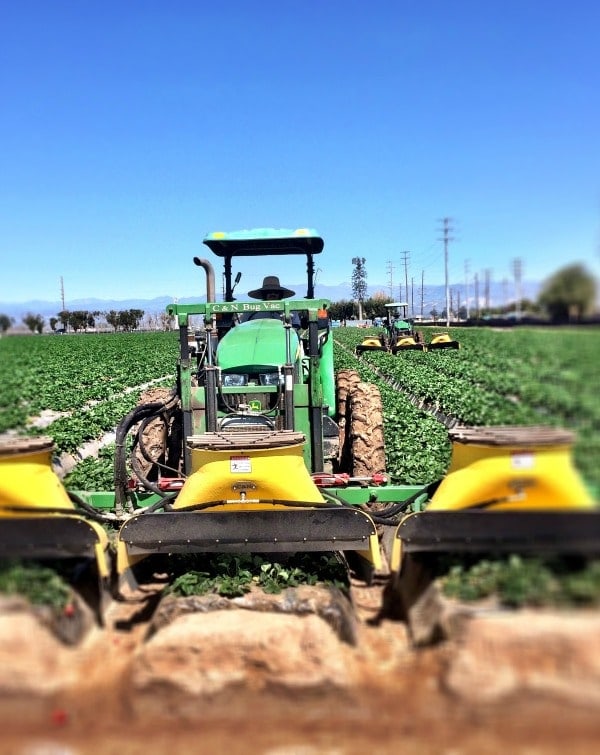 This bug vacuum is an example of Integrated Pest Management {IPM} being used in strawberry farming to help minimize the amount of pesticides being used. | Sponsored post by California Strawberries at The Spicy RD