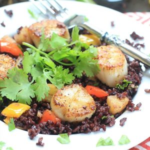Tantalize your tastebuds w/ these Seared Scallops w/ Coconut Rice. Low FODMAP, healthy, gluten free, and delicious! | Recipe from The Calm Belly Kitchen Cookbook by Julie O'Hara @thespicyrd