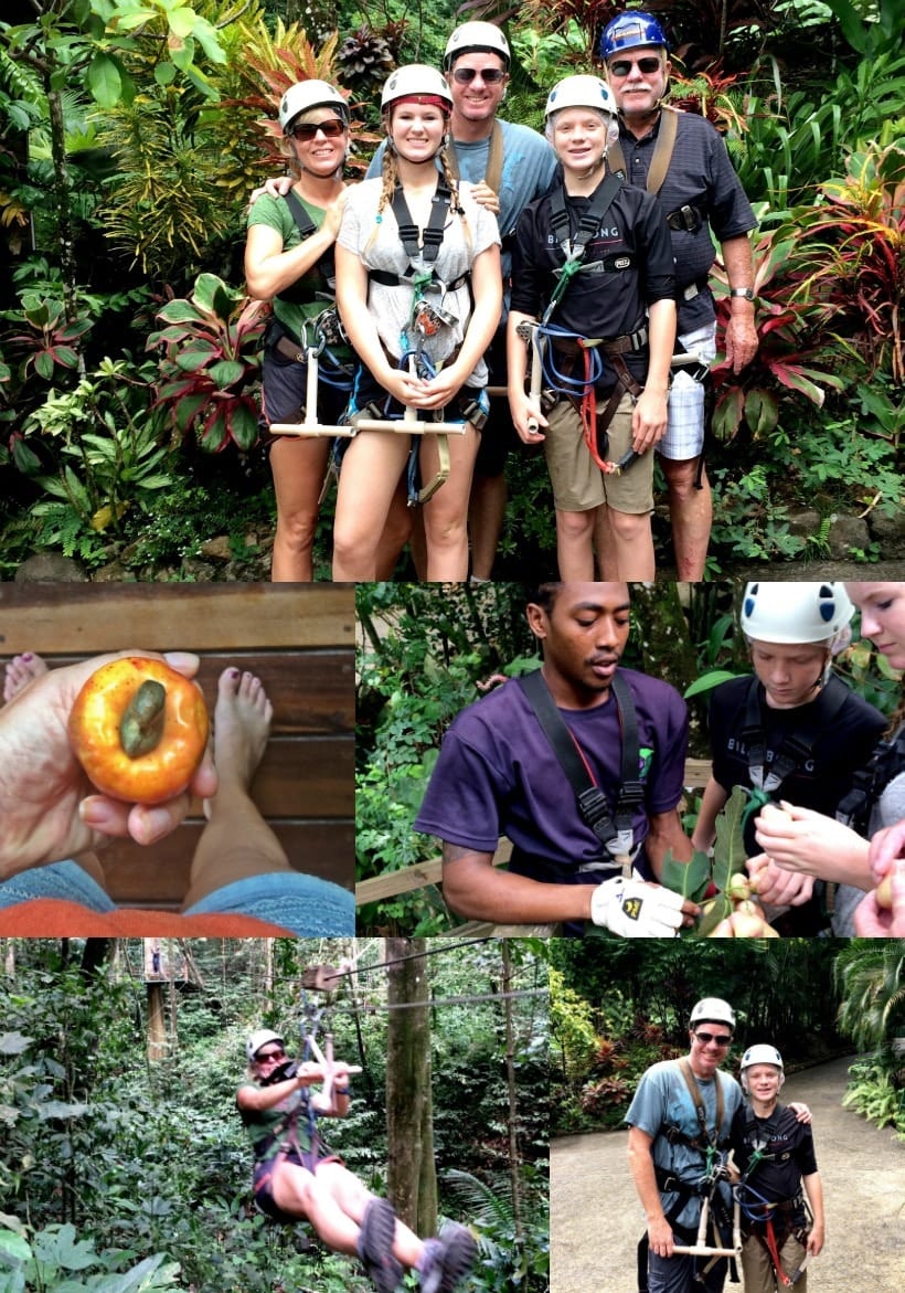 Fun for the whole family! Rainforest Adventures Zip Lining and Ariel Tram in the St Lucia