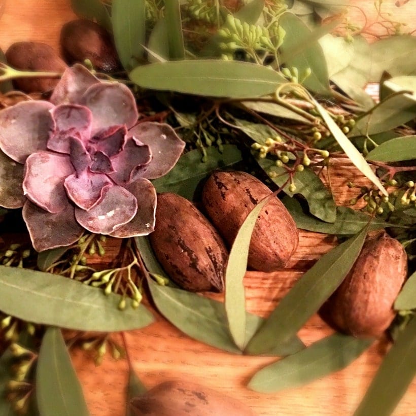 Succulents, pecan, and eucalyptus leaves make a beautiful centerpiece for entertaining!