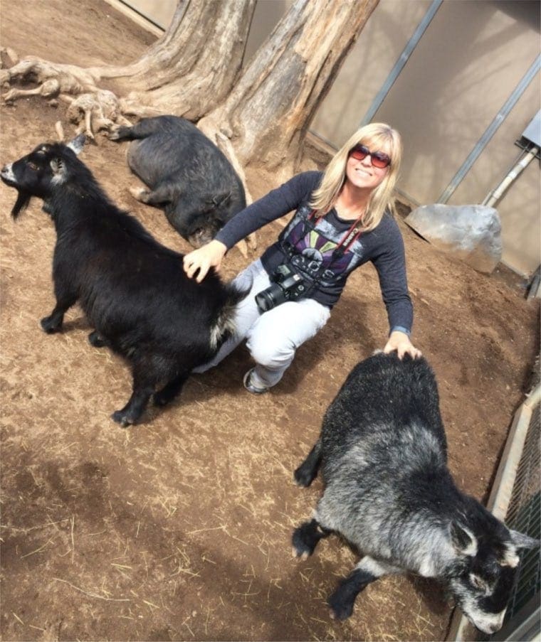 EA Stewart with goats.
