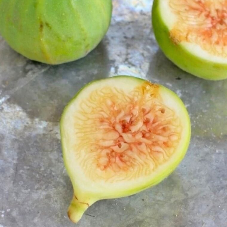 Green fresh figs on a silver tray.