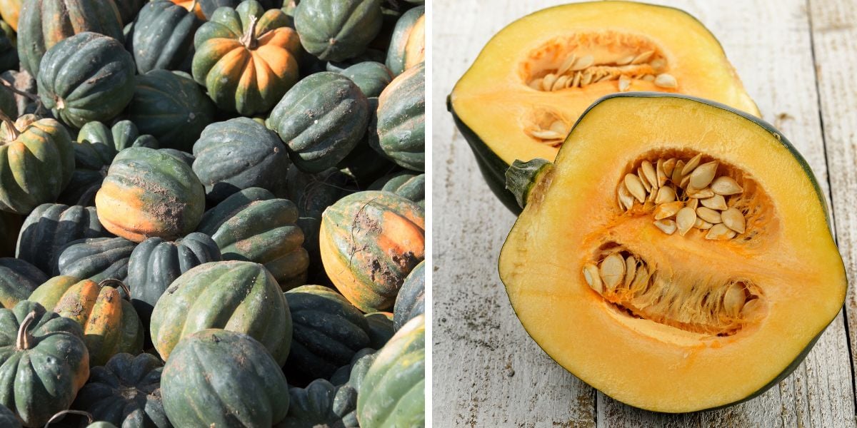 Whole and halved acorn squash.