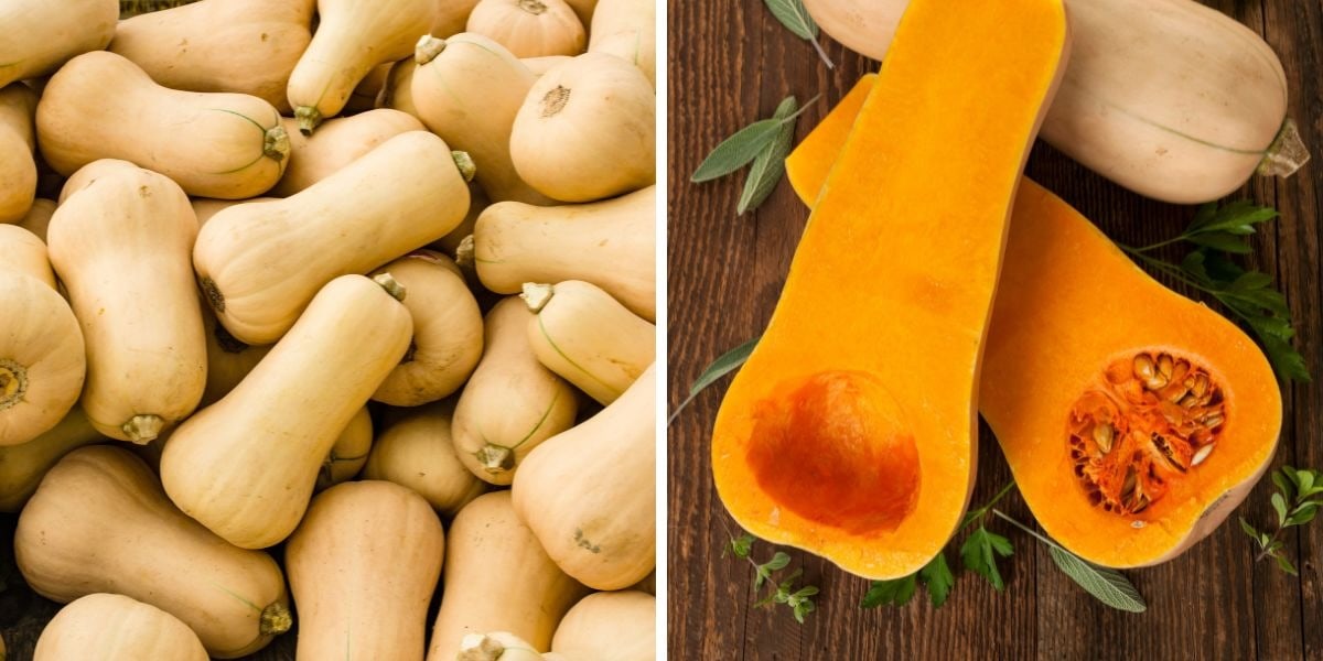 Pictures of whole and halved butternut squash.