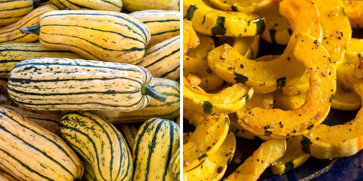 Pictures of whole and sliced Delicata squash.