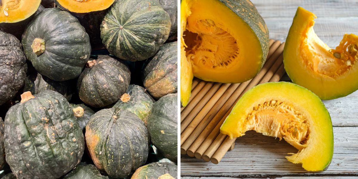 Pictures of whole and cut Kabocha squash.