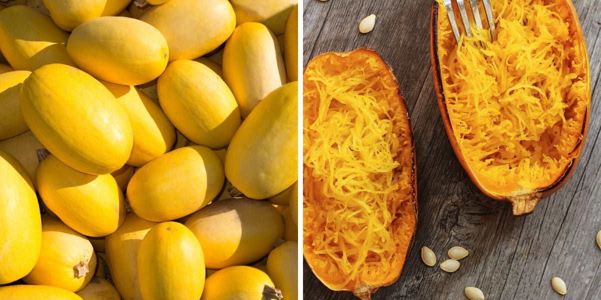 Pictures of whole and halved spaghetti squash, varieties of winter squash.