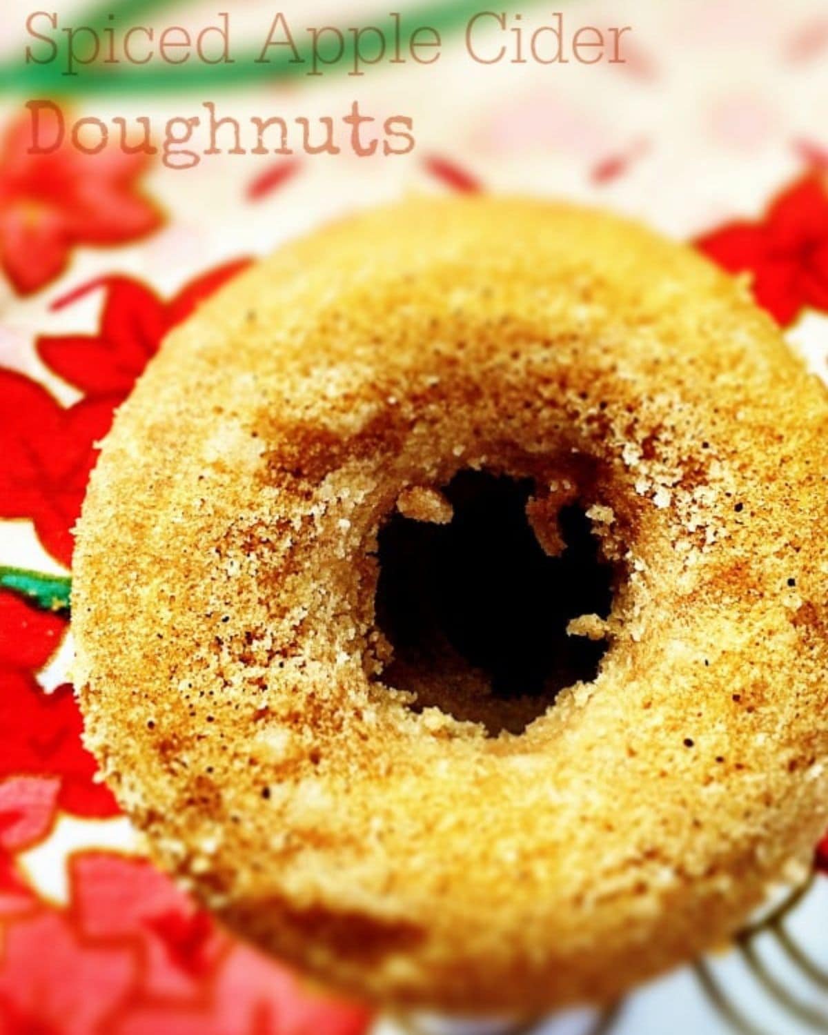 Gluten free apple cider donut on a colorful red and green plate.