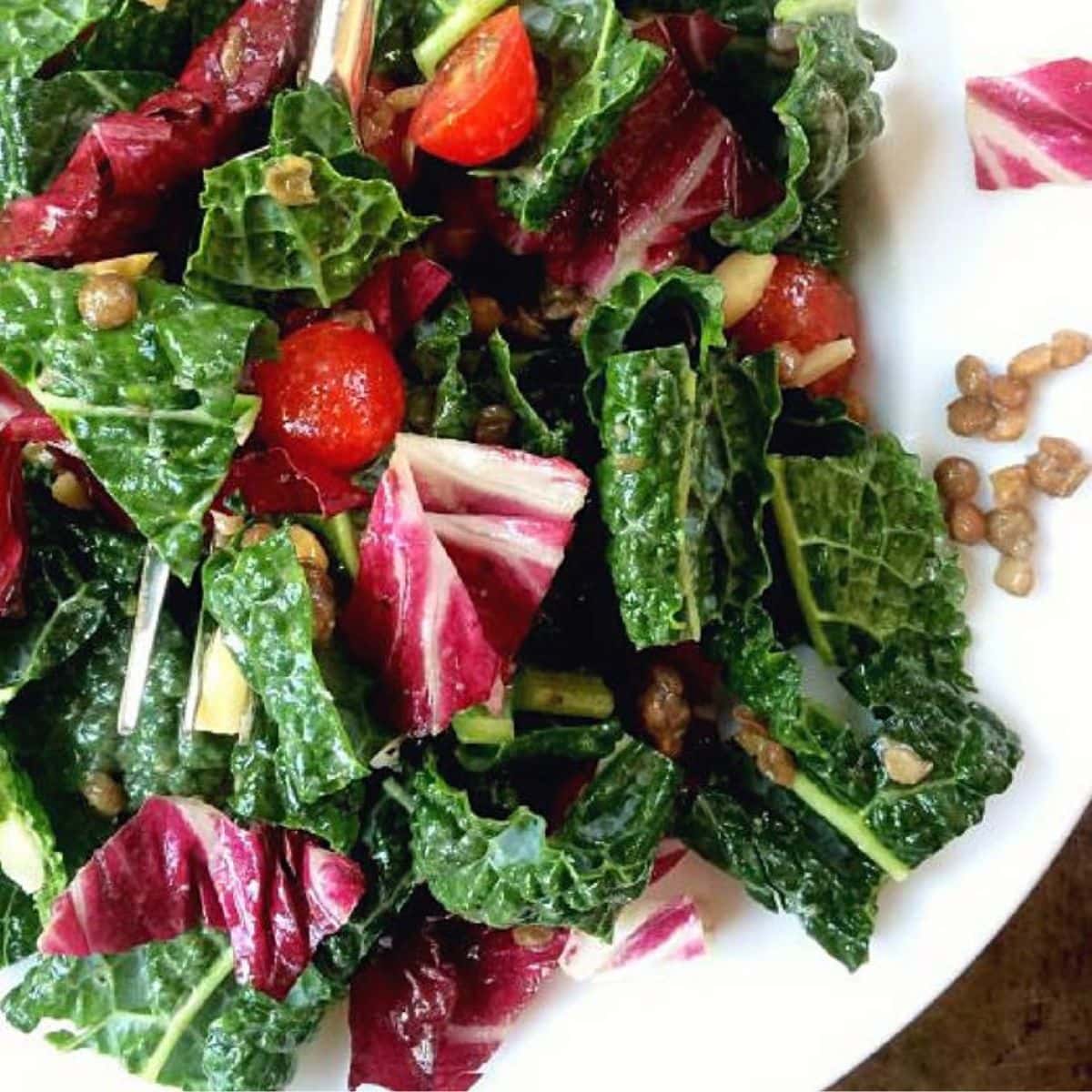White plate topped with kale, raddichio, tomatoes, almonds, and lentils.