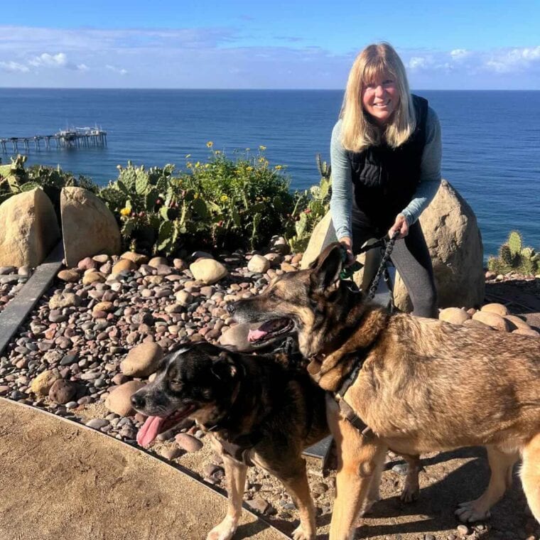 Woman walking 2 dogs by the beach.